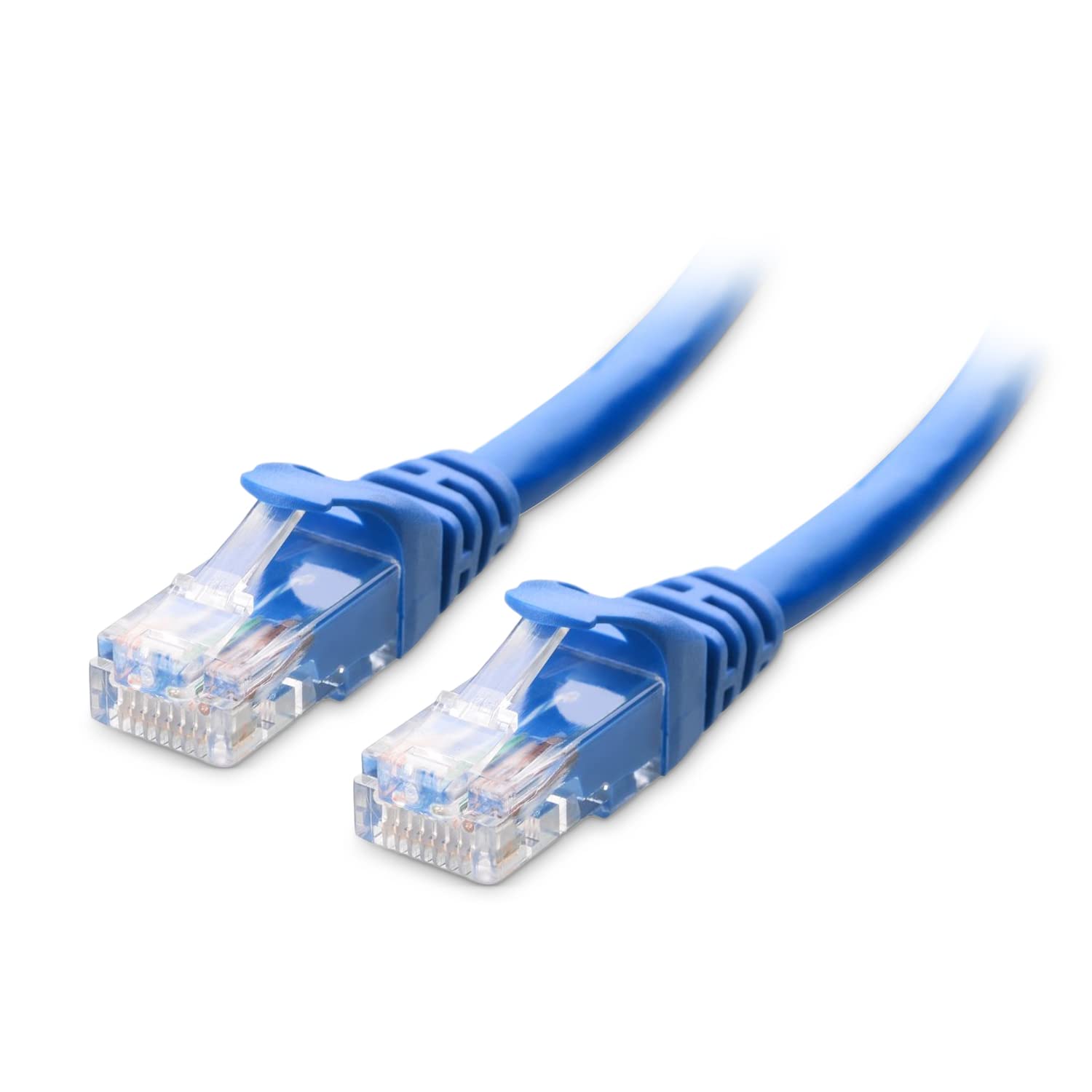 cat63blue.jpg